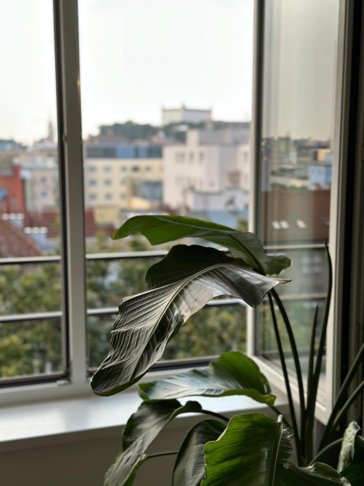 Urban Zenhouse No.2 - Breakfast Included Apartamento Bratislava Exterior foto